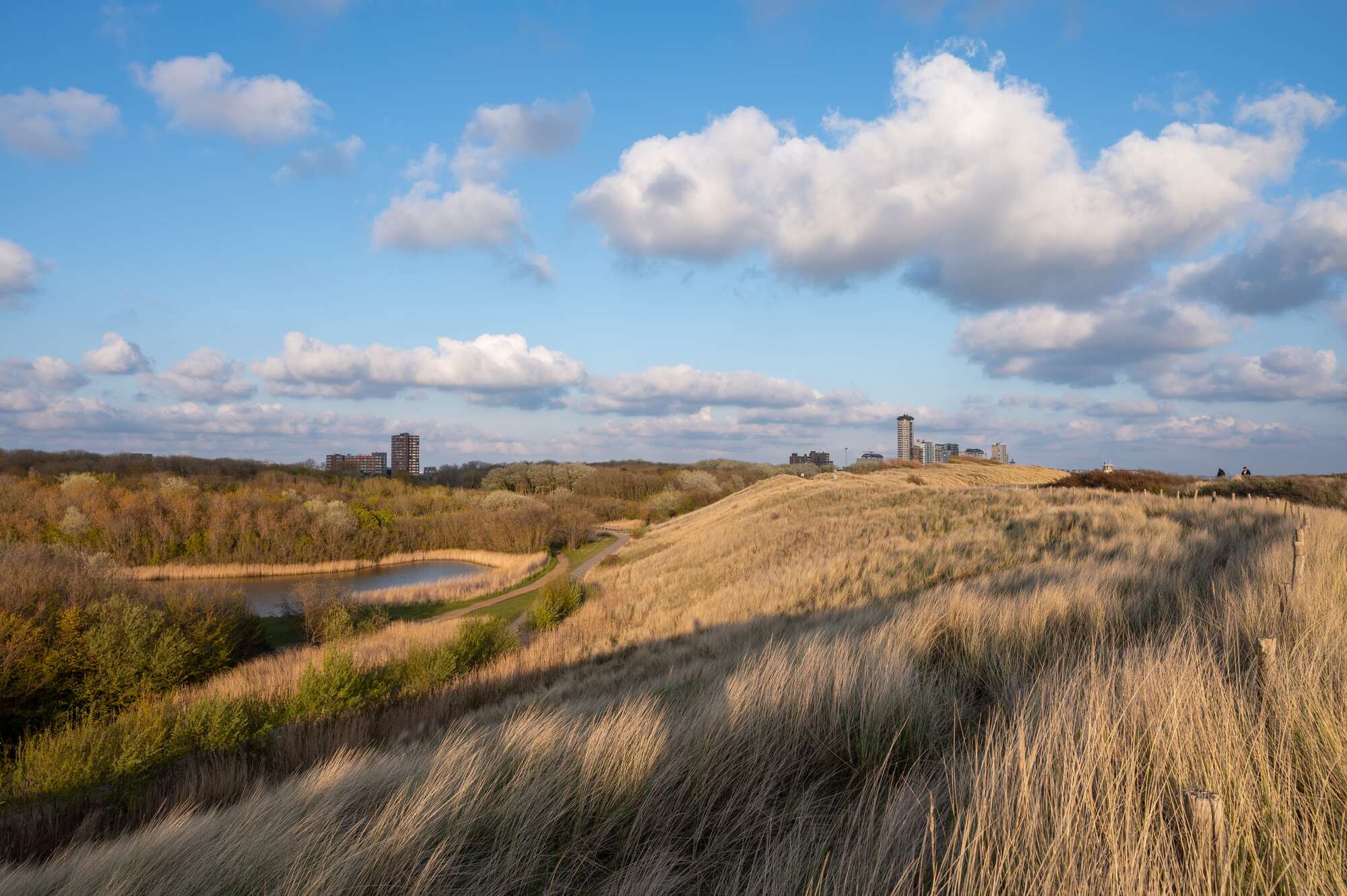 Ambitie om in Zeeland te werken?